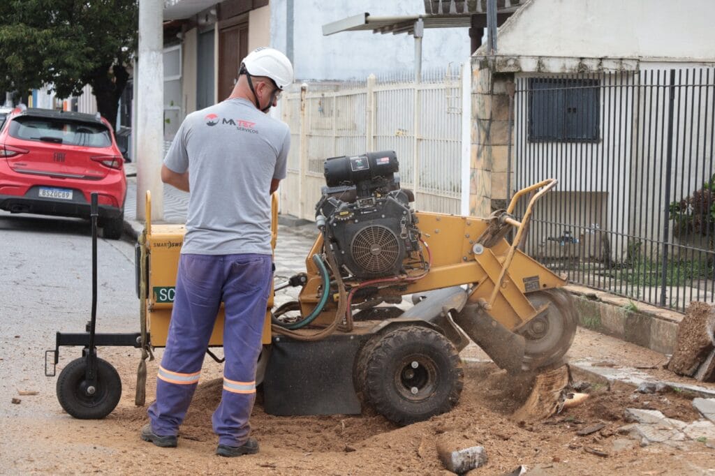 Manutenção retira 72 tocos de árvores em duas semanas e melhora mobilidade urbana