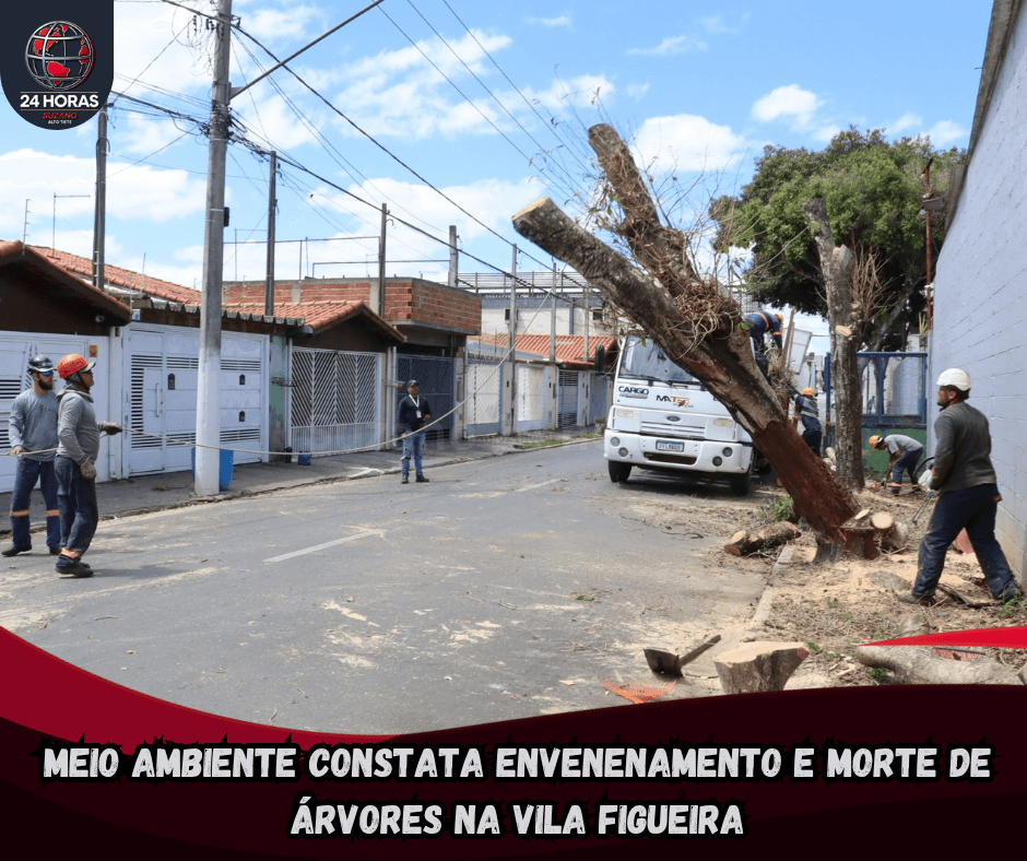 Meio Ambiente constata envenenamento e morte de árvores na Vila Figueira