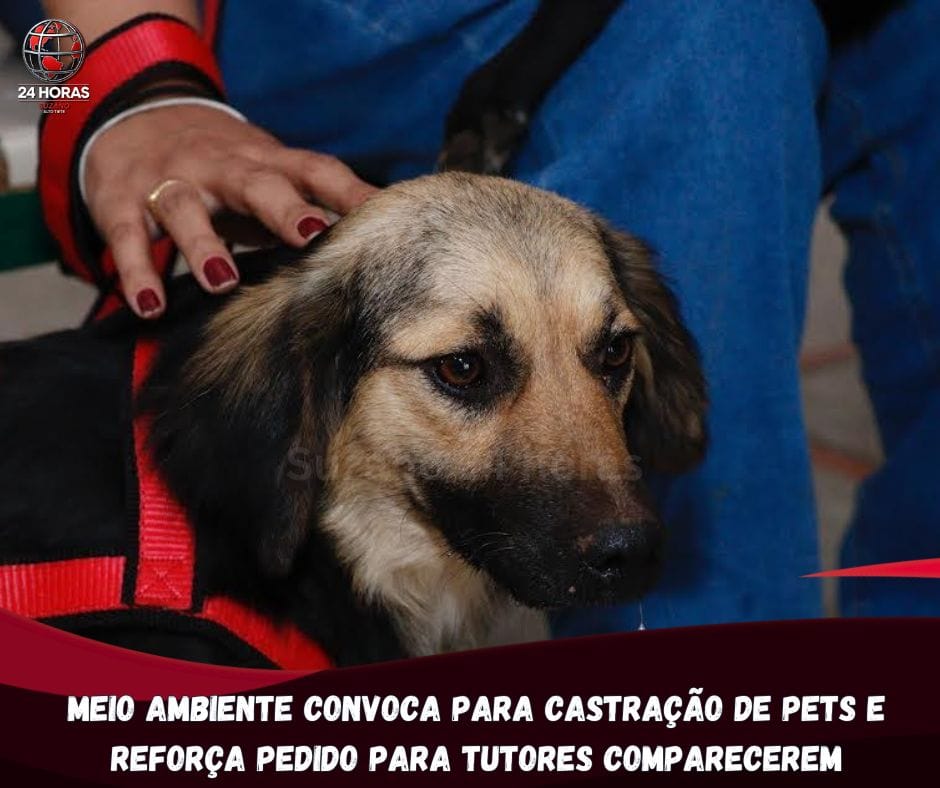 Meio Ambiente convoca tutores para mutirão de castração e reforça importância da presença no dia do procedimento