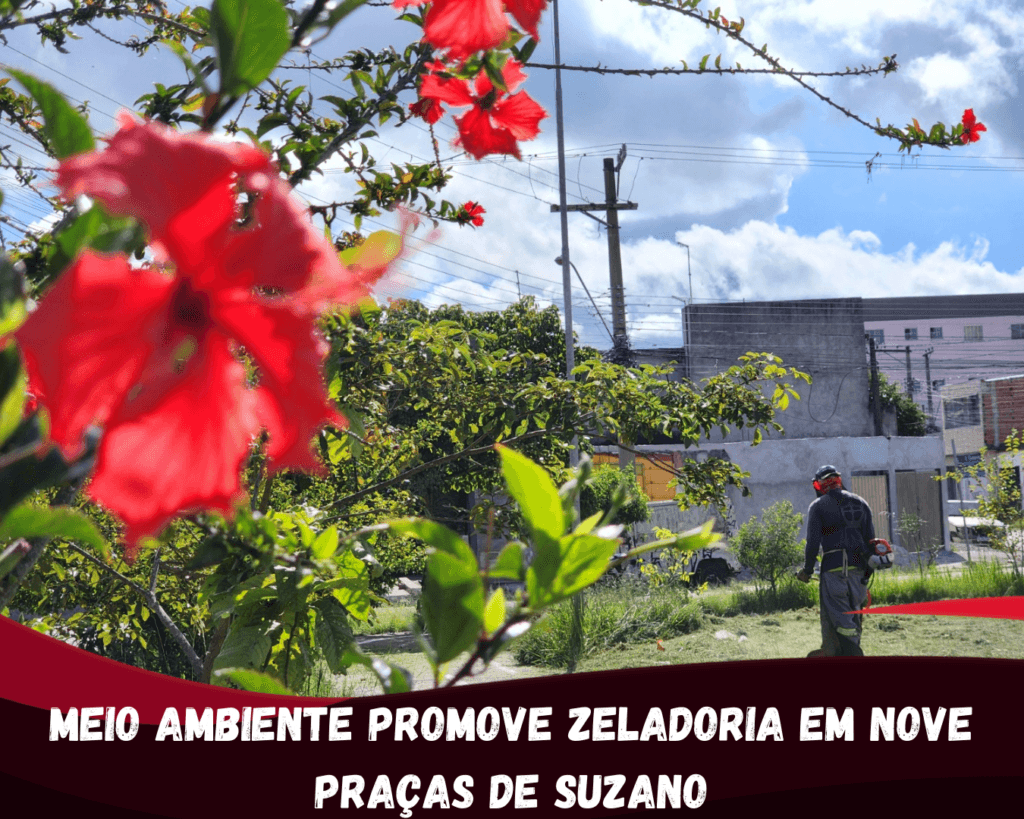 Meio Ambiente promove zeladoria em nove praças de Suzano