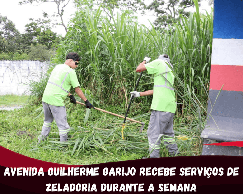 A Prefeitura de Suzano está realizando serviços de zeladoria