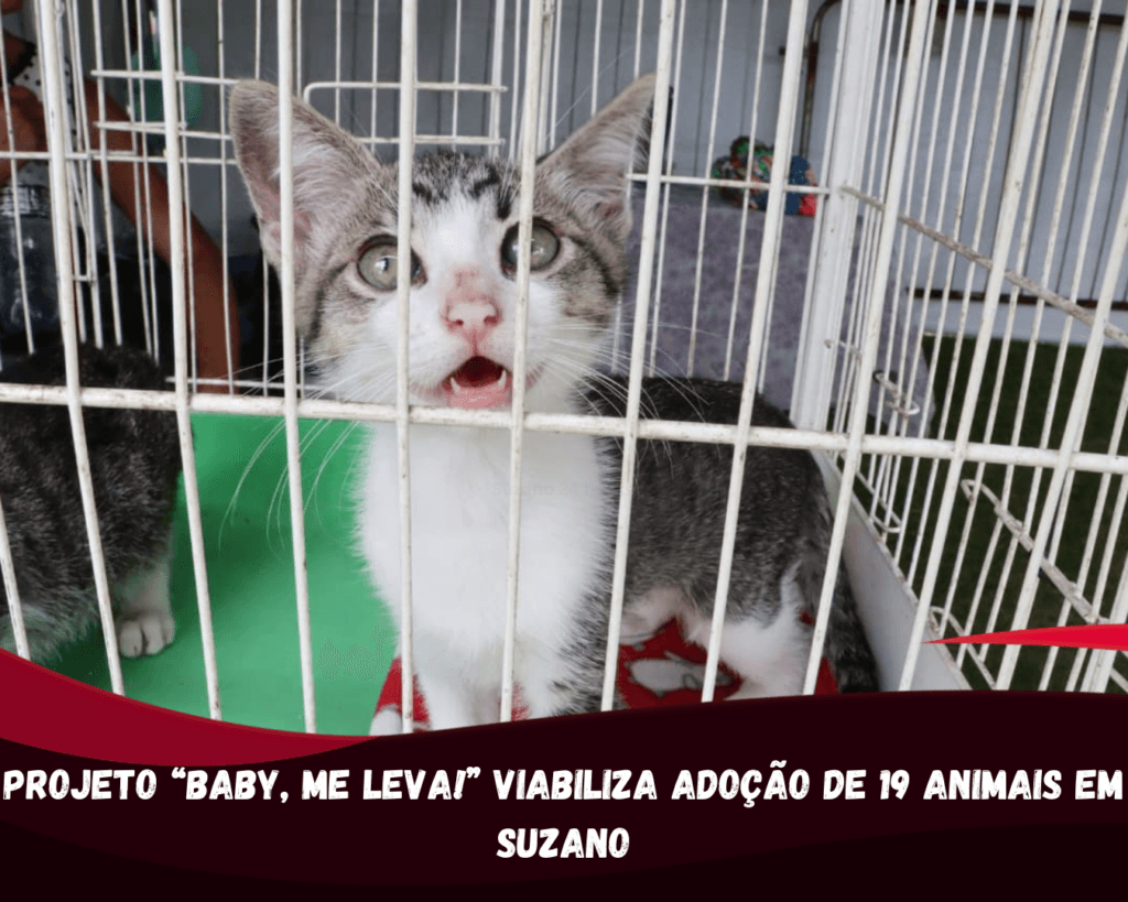 Baby, me Leva!” garante adoção de 19 animais em Suzano