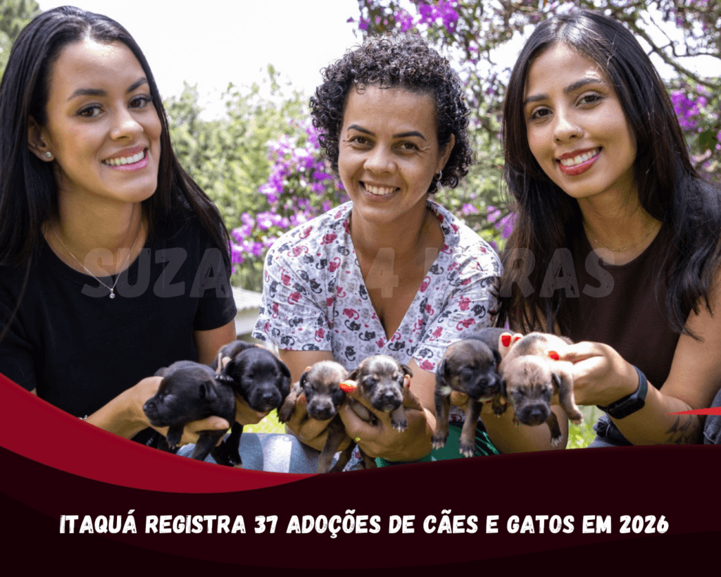 Itaquá registra 37 adoções de cães e gatos em 2026