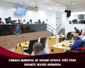 Câmara Municipal de Suzano aprova três itens durante sessão ordinária