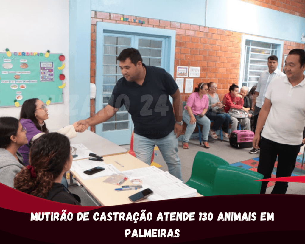 Mutirão de castração atende 130 animais em Palmeiras